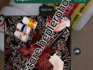 postinor obat aborsi penggugur kandungan